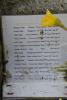 Names (3)