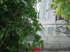 Memorial image thumbnail